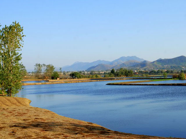 大冶市西北片区储备林建设项目监理服务施工招标公告